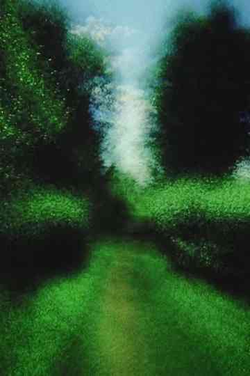 Brouillard 13 Poster