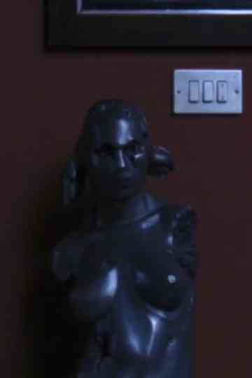 At the House of Mr X Poster