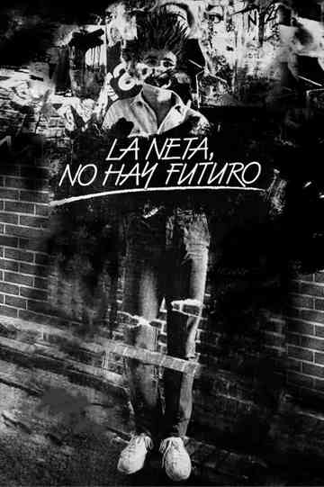 In Fact There is not Future Poster
