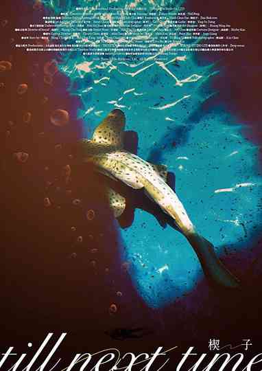 till next time Poster