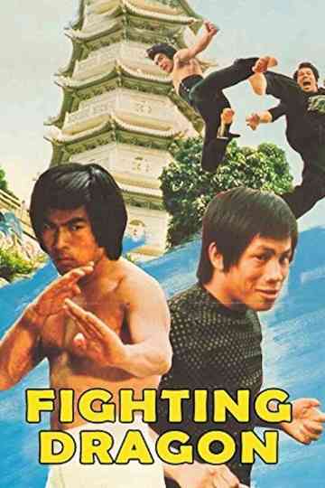 Fighting Dragon Poster