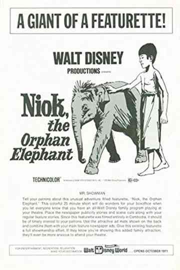 Niok The Orphan Elephant Poster