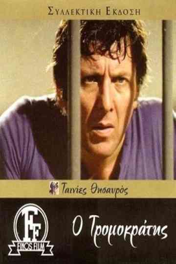 The terrorist Poster