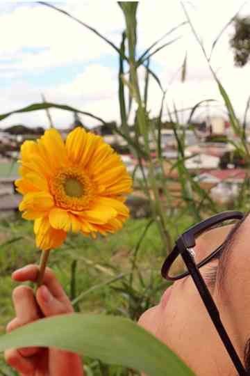 Pétalos del sol Poster