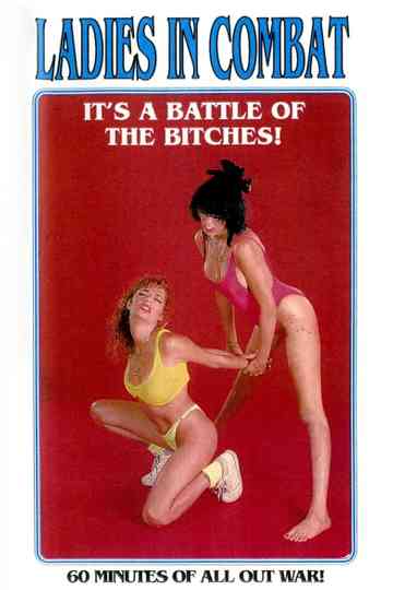 Ladies in Combat Poster