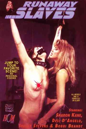 Runaway Slaves Poster