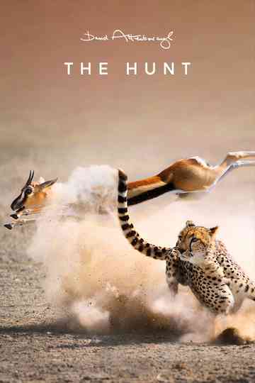 The Hunt poster