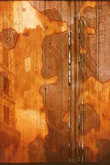 Tradition Is the Handing on of Fire and Not the Worship of Ashes Poster