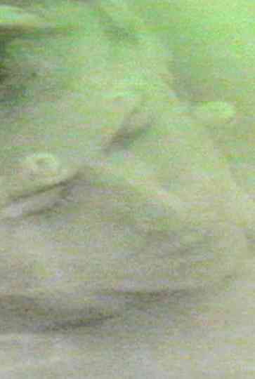 finally destroy us Poster