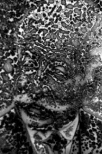 Cinematograph Poster