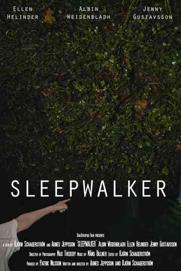 Sleepwalker Poster