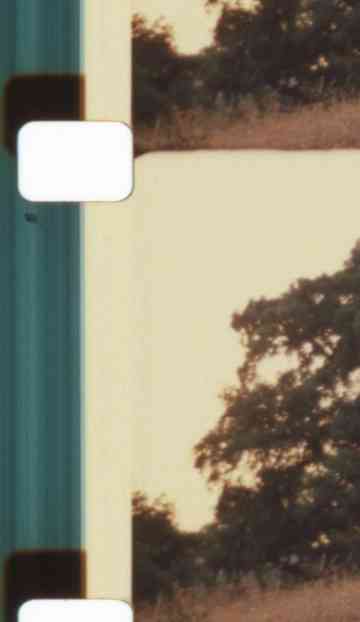 Light, Blaze, Fulgor - Auguries for a Non-Hierarchical Framing and Flourishing Poster