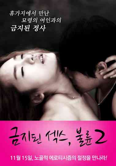 Forbidden Sex: Affair 2 Poster