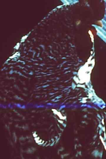 Otherwise Unexplained Fires Poster