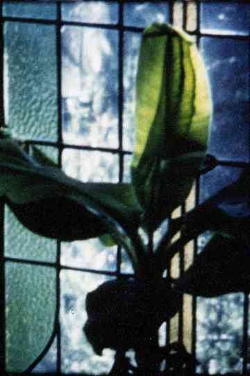 Articulated Image Poster