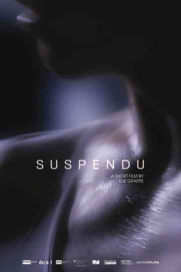 Suspendu Poster