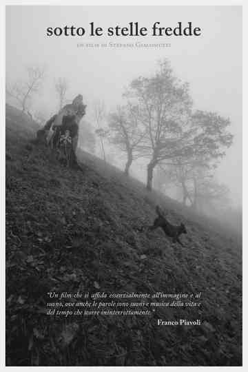 Under the Cold Stars poster