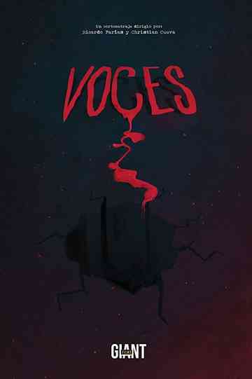Voices Poster