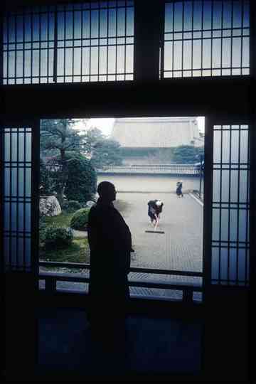 In the World of Zen Poster