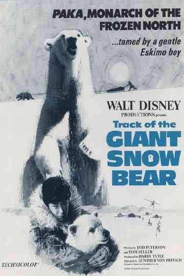 Snow Bear Poster