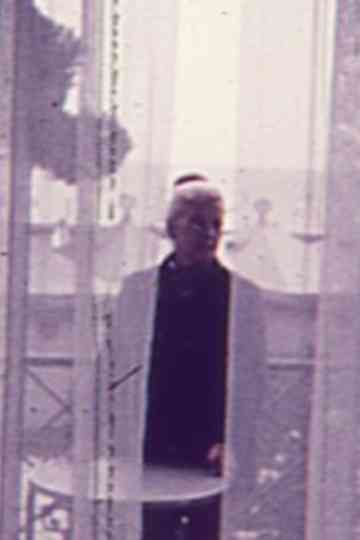 Lace of Summer Poster