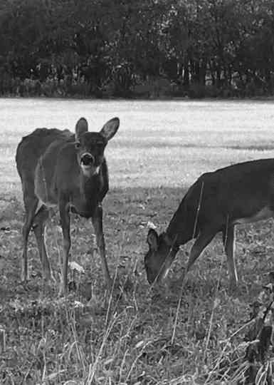 An Ode To No One Poster