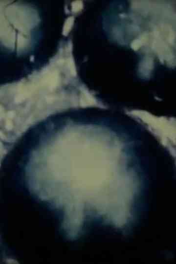 Three Preparations Poster