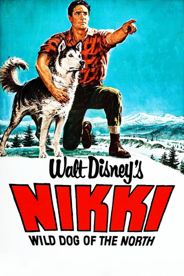 Nikki Wild Dog of the North