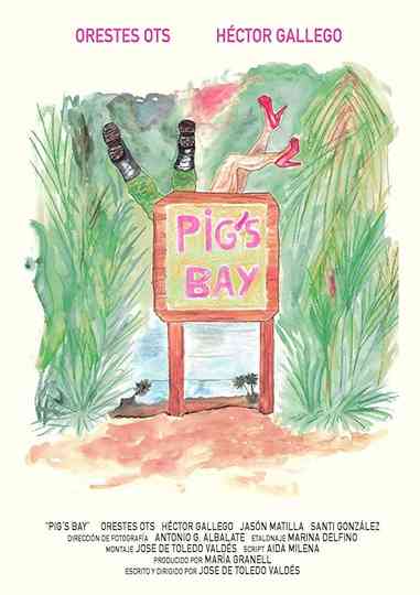 Pigs Bay poster