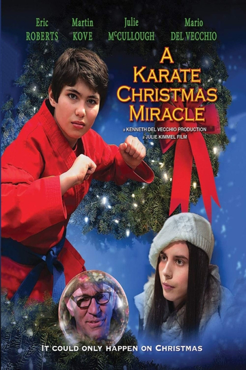 A Karate Christmas Miracle Poster