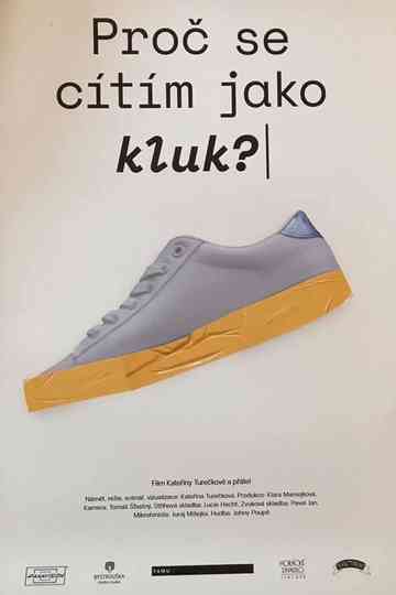 Why Do I Feel like a Boy? Poster