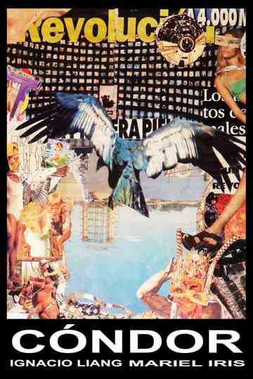 Cóndor Poster