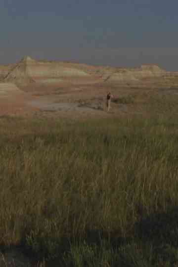 CIVIL WAR SURVEILLANCE POEMS (Part 1) Poster