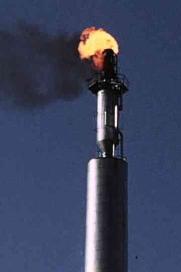 The Birth of Magellan Cadenza XIV Poster