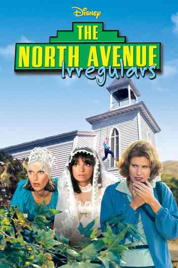 The North Avenue Irregulars Poster