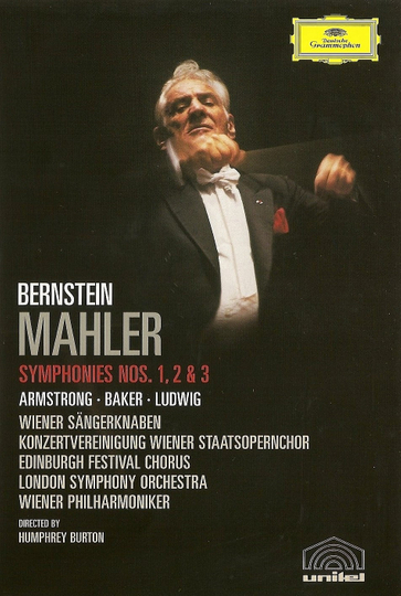 Mahler  Symphonies Nos 1 2  3