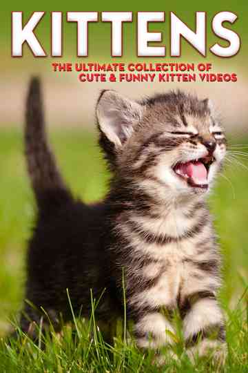 Kittens The Ultimate Collection of Cute & Funny Kitten Videos Poster