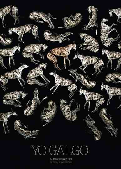 Yo Galgo poster
