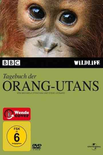 Tagebuch der Orang-Utans Poster