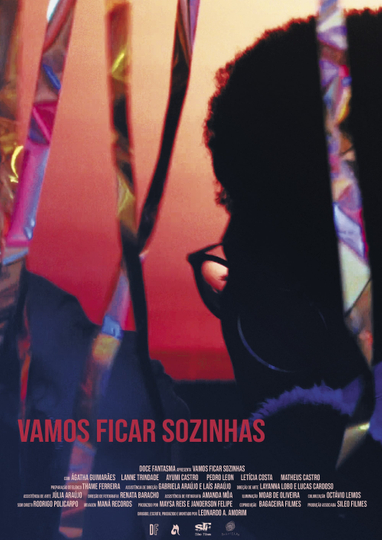 Vamos Ficar Sozinhas Poster