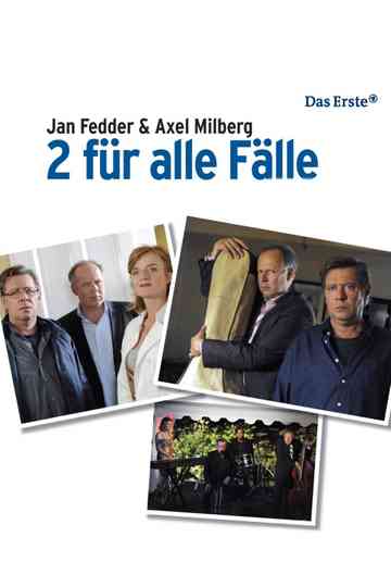 2 für alle Fälle Filmreihe Poster