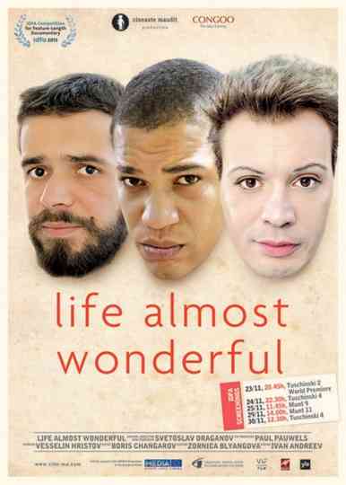 Life Almost Wonderful Poster