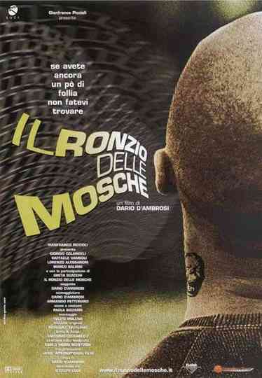 Il ronzio delle mosche Poster