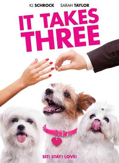 It Takes Three Poster