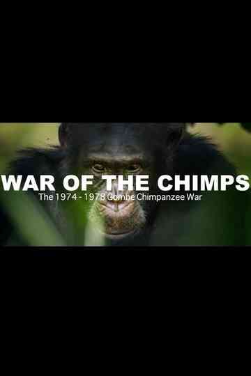 World War Chimp  The Brutal 1974  1978 Gombe Chimpanzee War Documentary Poster