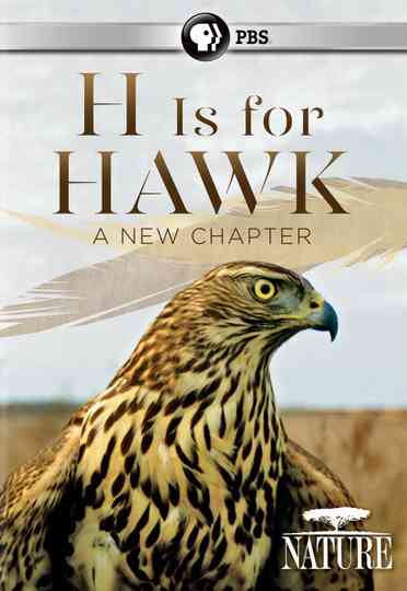 H is for Hawk A New Chapter Poster