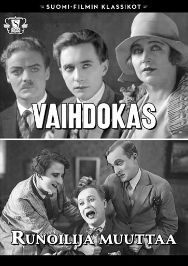 Vaihdokas Poster