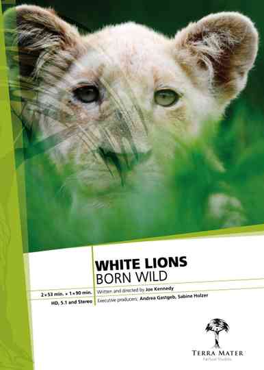 White Lions Born Wild Poster