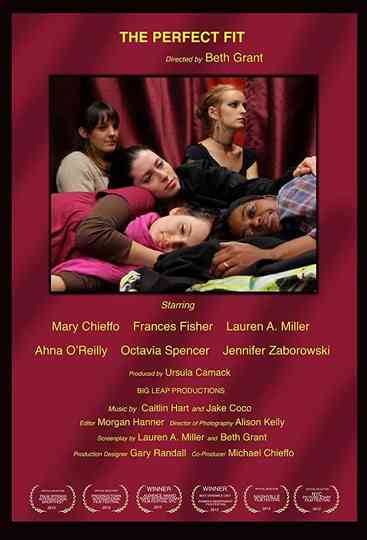 The Perfect Fit Poster