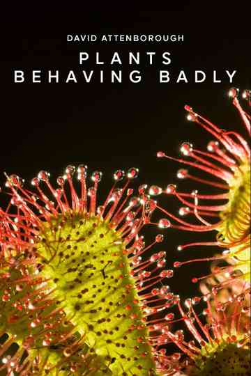 Plants Behaving Badly Poster